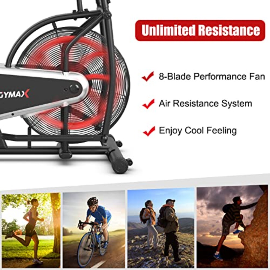 Home gym cardio training: fan  - đánh giá và giá Phone Holder